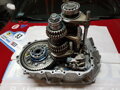 Honda EP3 Dogbox (Homologated) 5 Speed